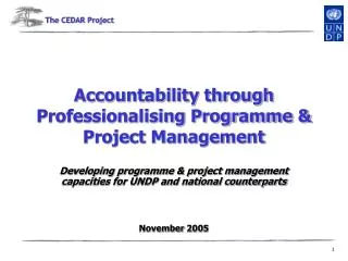 Accountability through Professionalising Programme &amp; Project Management