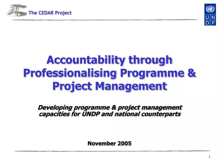 accountability through professionalising programme project management