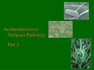 An Introduction to Turfgrass Pathology Part 2