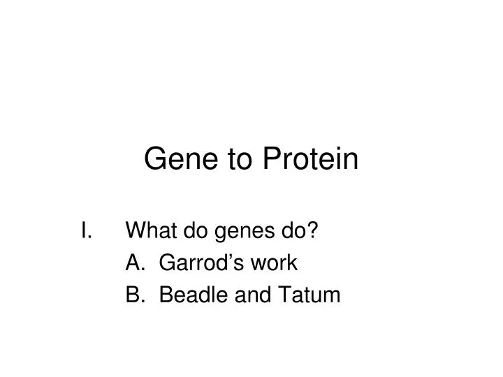 gene to protein