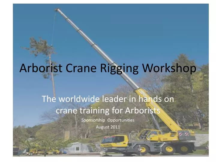 arborist crane rigging workshop
