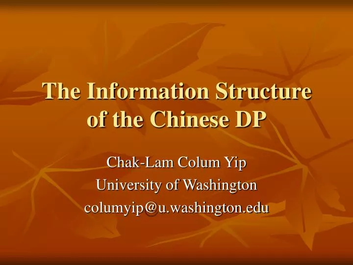 the information structure of the chinese dp