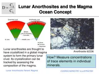 Lunar Anorthosites and the Magma Ocean Concept