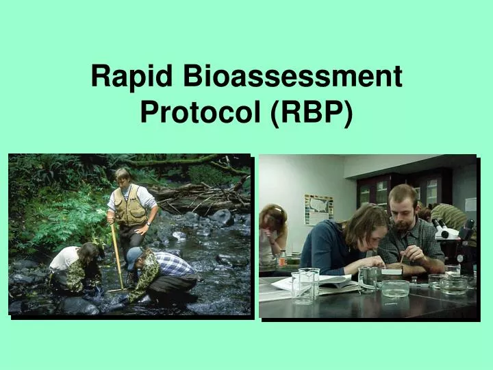 rapid bioassessment protocol rbp
