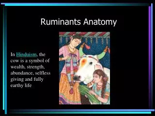 Ruminants Anatomy