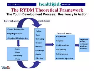 The Youth Development Process: Resiliency In Action