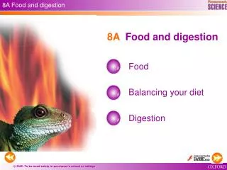8A Food and digestion