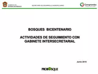 BOSQUES BICENTENARIO ACTIVIDADES DE SEGUIMIENTO CON GABINETE INTERSECRETARIAL