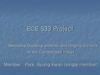 ECE 533 Project