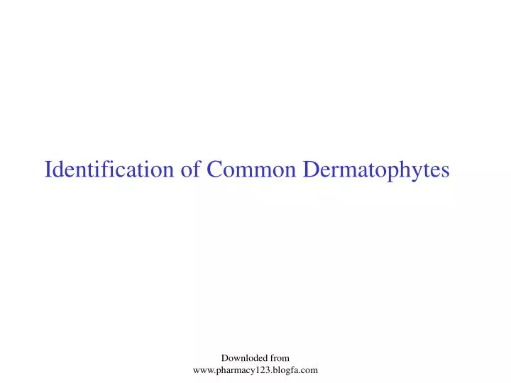 identification of common dermatophytes