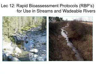 Lec 12: Rapid Bioassessment Protocols (RBP’s) 	 for Use in Streams and Wadeable Rivers