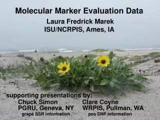 Molecular Marker Evaluation Data
