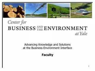Advancing Knowledge and Solutions at the Business-Environment Interface Faculty