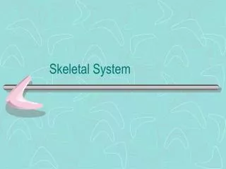 Skeletal System