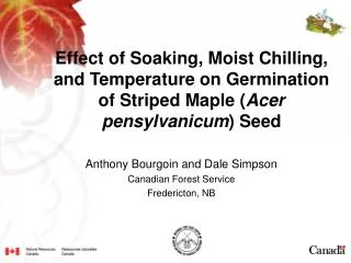 Effect of Soaking, Moist Chilling, and Temperature on Germination of Striped Maple ( Acer pensylvanicum ) Seed
