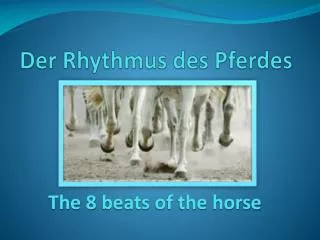 Der Rhythmus des Pferdes