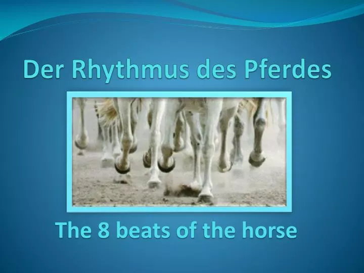 der rhythmus des pferdes