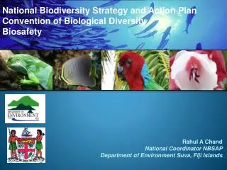 National Biodiversity Strategy and Action Plan Convention of Biological Diversity Biosafety
