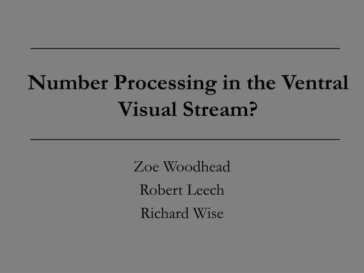 number processing in the ventral visual stream