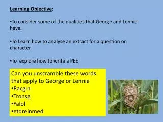 Learning Objective : To consider some of the qualities that George and Lennie have. To Learn how to analyse an extract f