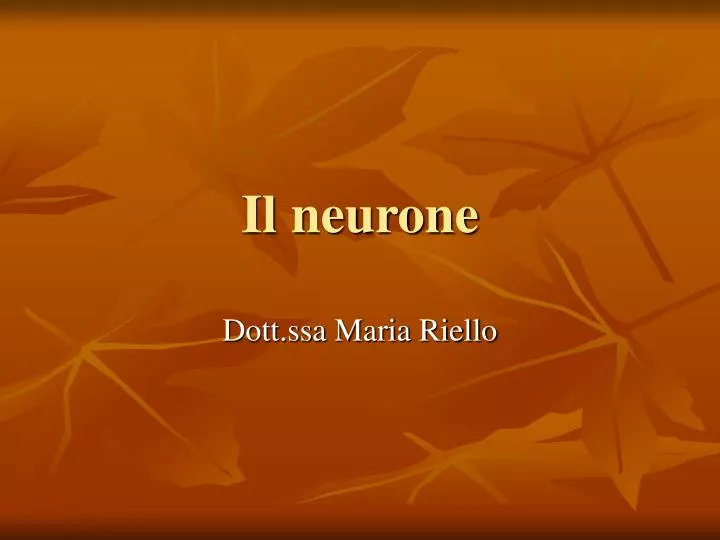 il neurone