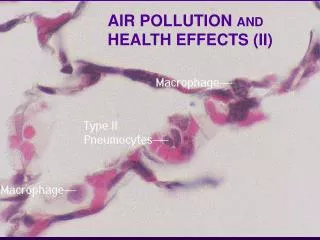 AIR POLLUTION AND HEALTH EFFECTS (II)
