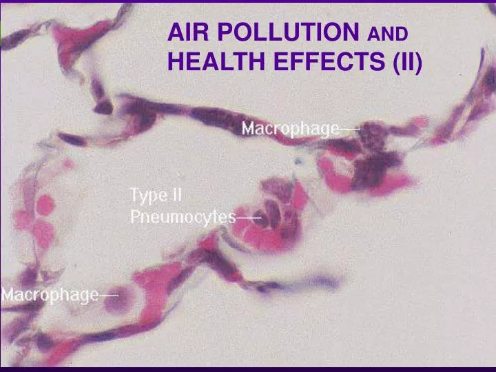air pollution and health effects ii