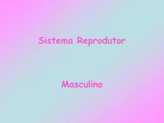 Sistema Reprodutor Masculino