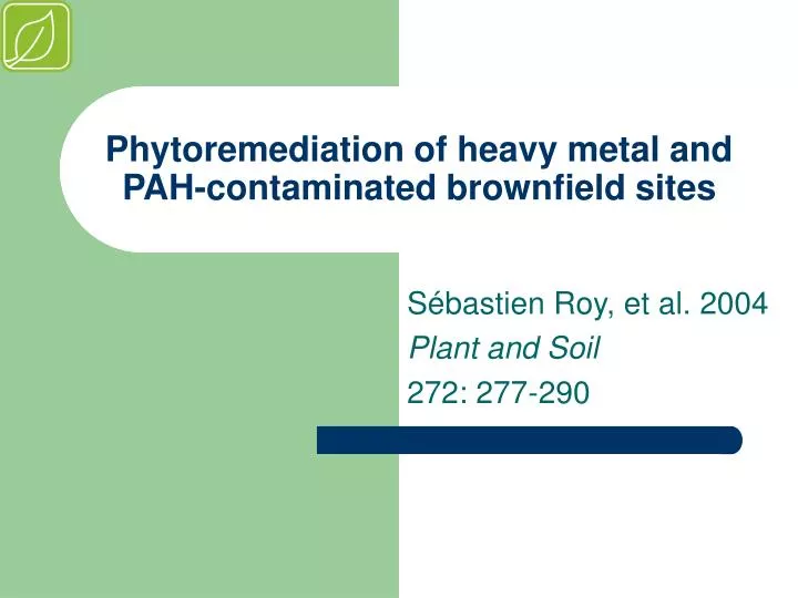 phytoremediation of heavy metal and pah contaminated brownfield sites