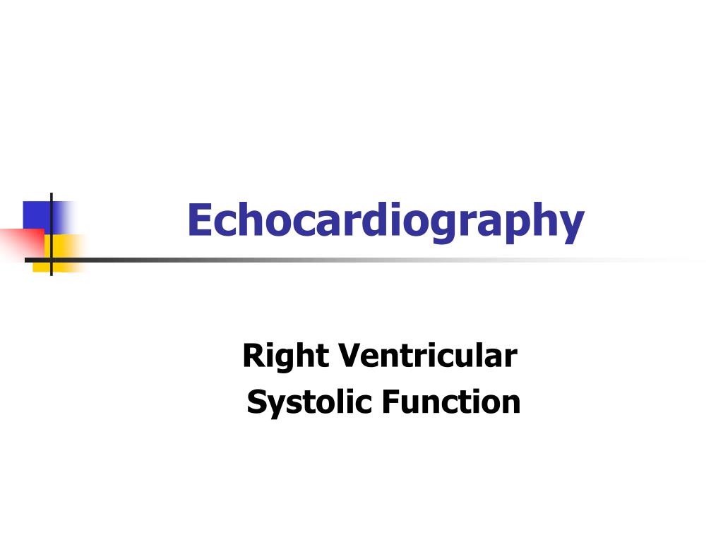 PPT - Echocardiography PowerPoint Presentation, free download - ID:1107205