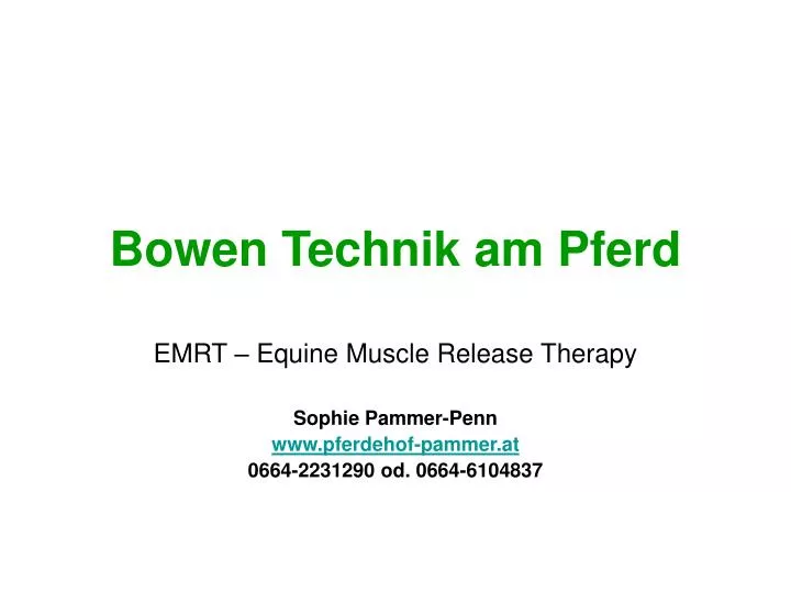 bowen technik am pferd