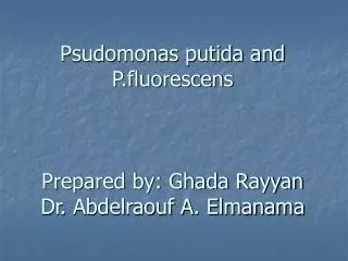 Psudomonas putida and P.fluorescens Prepared by: Ghada Rayyan Dr. Abdelraouf A. Elmanama