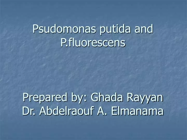 psudomonas putida and p fluorescens prepared by ghada rayyan dr abdelraouf a elmanama