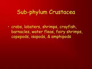 Sub-phylum Crustacea