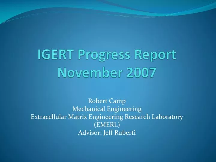 igert progress report november 2007