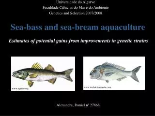 Sea-bass and sea-bream aquaculture Estimates of potential gains from improvements in genetic strains