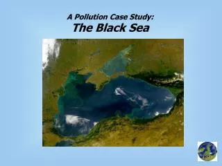 A Pollution Case Study: The Black Sea