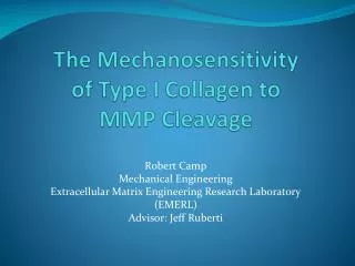 The Mechanosensitivity of Type I Collagen to MMP Cleavage