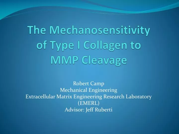 the mechanosensitivity of type i collagen to mmp cleavage