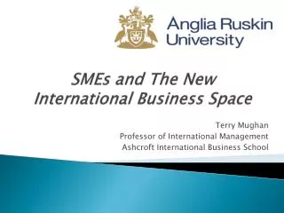 SMEs and The New International Business Space