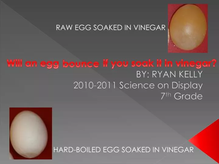 will an egg if you soak it in vinegar