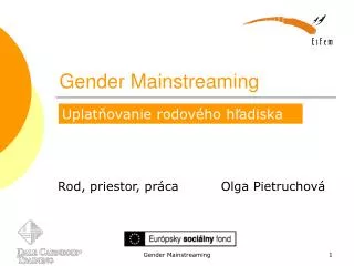 gender mainstreaming