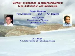 Vortex avalanches in superconductors: Size distribution and Mechanism