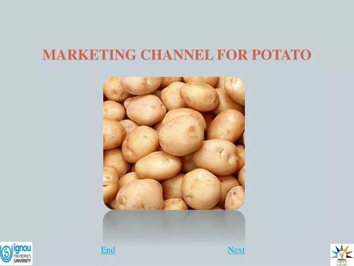 marketing channel for potato