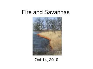 Fire and Savannas