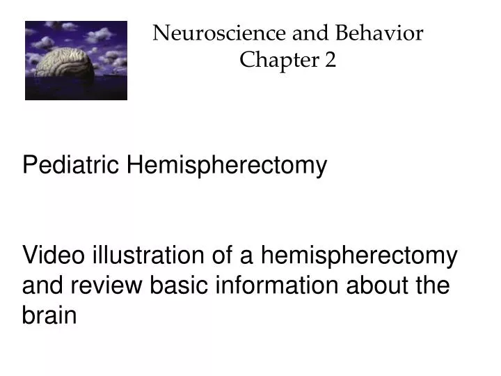 neuroscience and behavior chapter 2