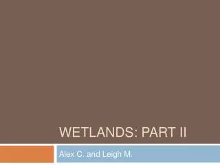 Wetlands: Part II