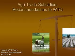 Agri-Trade Subsidies: Recommendations to WTO