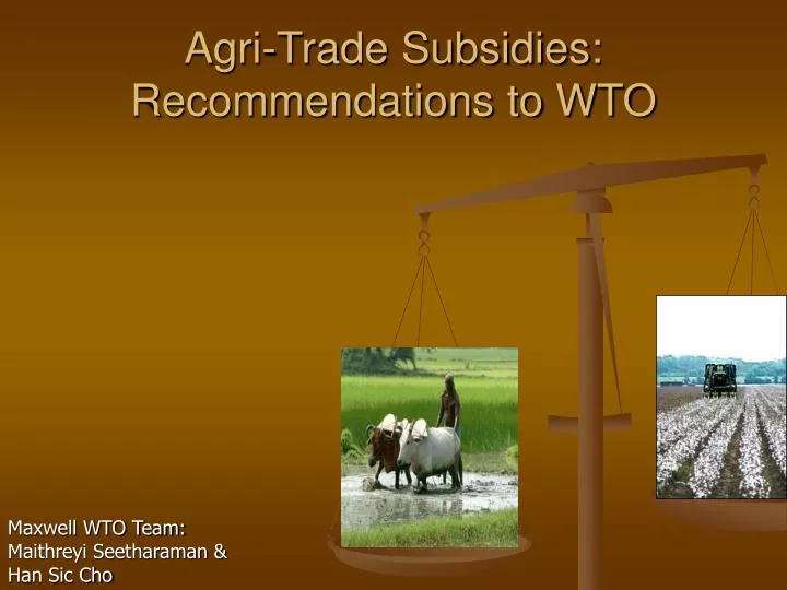 agri trade subsidies recommendations to wto