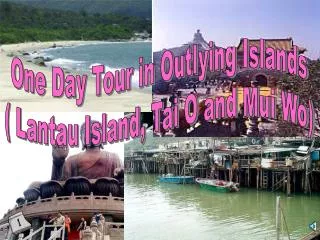 One Day Tour in Outlying Islands ( Lantau Island, Tai O and Mui Wo)